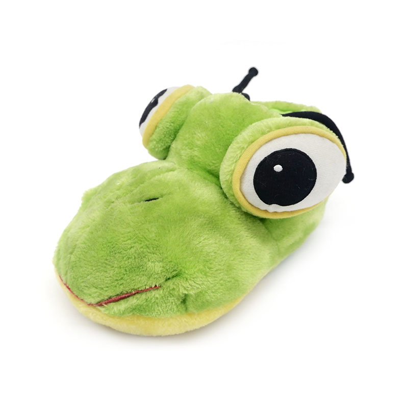 Froschpantoffeln mit großen Augen